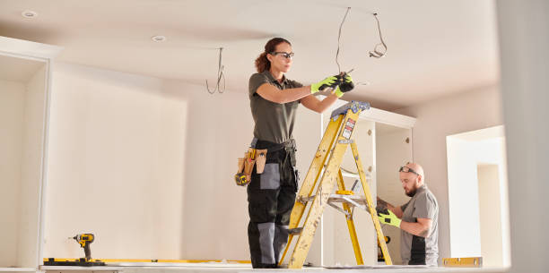 Best Electrical Troubleshooting Services  in Ina, IL